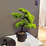 Kosmonaudi شقة نارفا