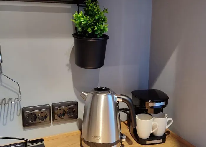 Apartment Kosmonaudi