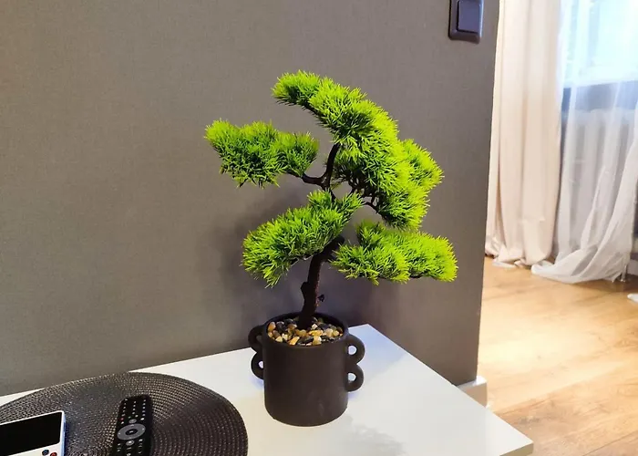 Kosmonaudi Apartment Narva